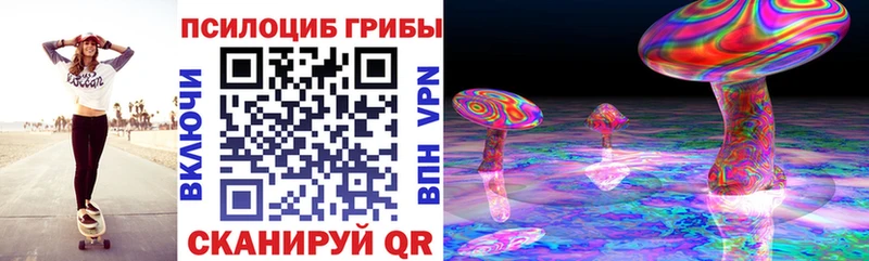 цена   Родники  Галлюциногенные грибы GOLDEN TEACHER 